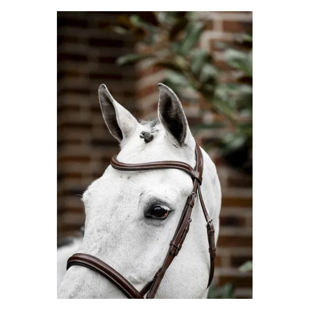 Horseware Cavesson hunter trense