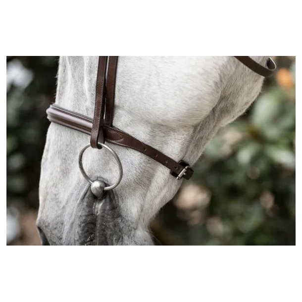 Horseware Cavesson hunter trense