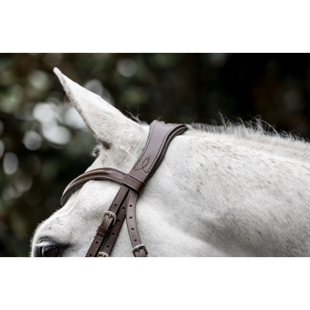 Horseware Cavesson hunter trense