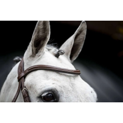 Horseware Cavesson hunter trense