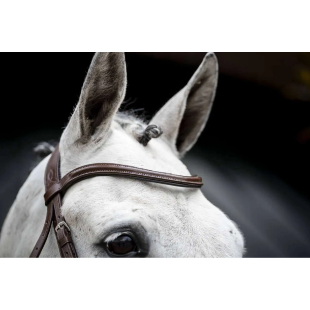 Horseware Cavesson hunter trense