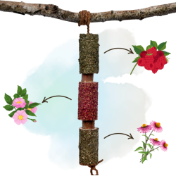 Herbi Horse Immuno tyggeleget�j og snack