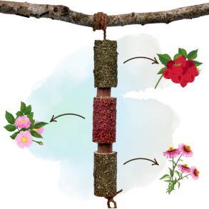 Herbi Horse Immuno tyggeleget�j og snack