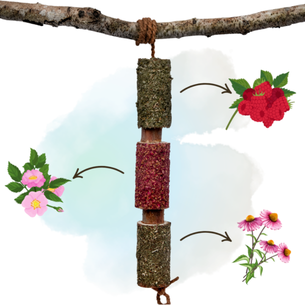 Herbi Horse Immuno tyggeleget�j og snack