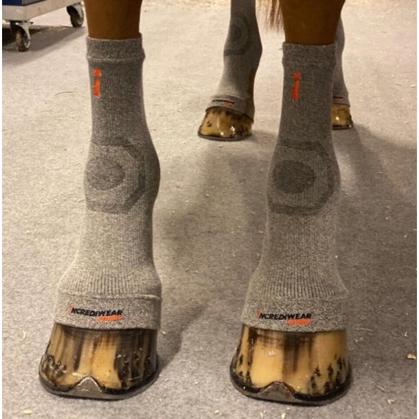 Incrediwear Equine Circulation Hoof Sock (par)