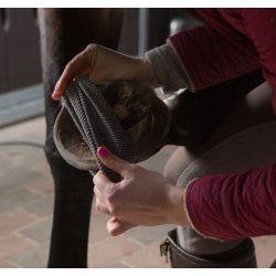 Incrediwear Equine Circulation Hoof Sock (par)