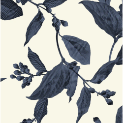 Kastel Raglan Indigo Lithograph Leaf 1/4 zip SS25