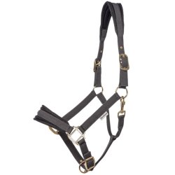 Kavalkade Memory nylon grime