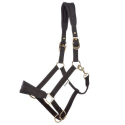 Kavalkade Memory nylon grime