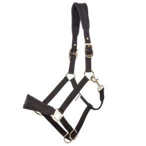 Kavalkade Memory nylon grime