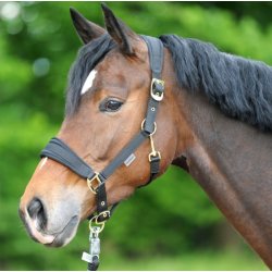 Kavalkade Memory nylon grime