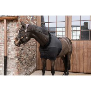 Kentucky Chest Protection den ultimative undertr�je