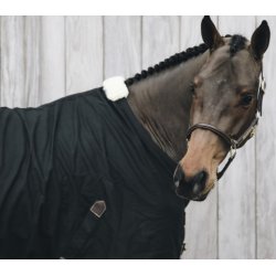 Kentucky Cotton Sheet 