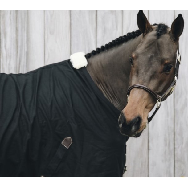 Kentucky Cotton Sheet 