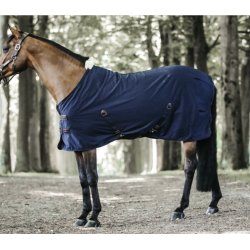 Kentucky Cotton Sheet 