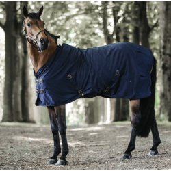 Kentucky Cotton Sheet 