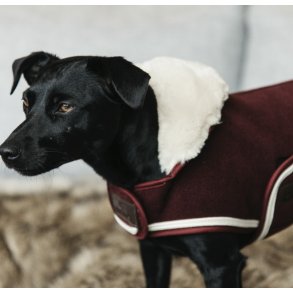 Kentucky Dog Coat Heavy Fleece