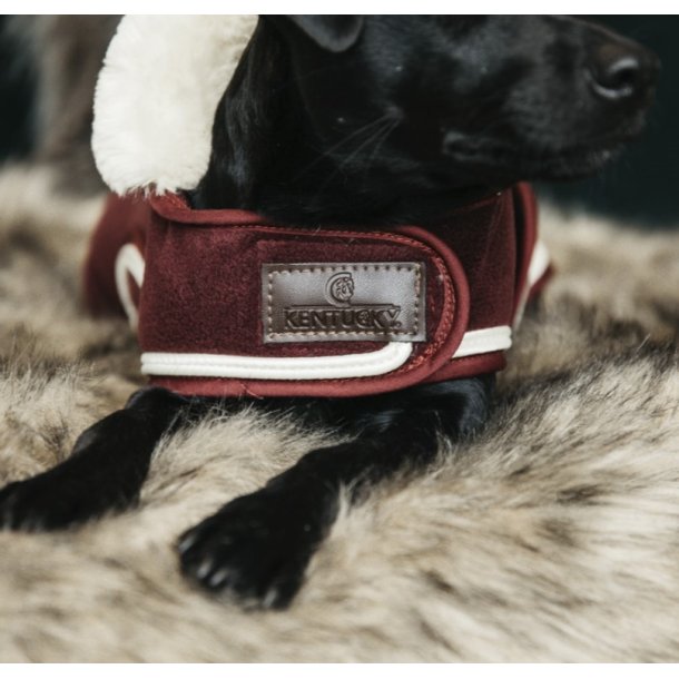 Kentucky Dog Coat Heavy Fleece