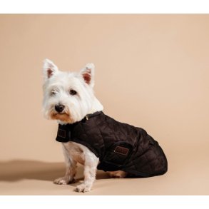 Kentucky Dog Coat original Hunded�kken