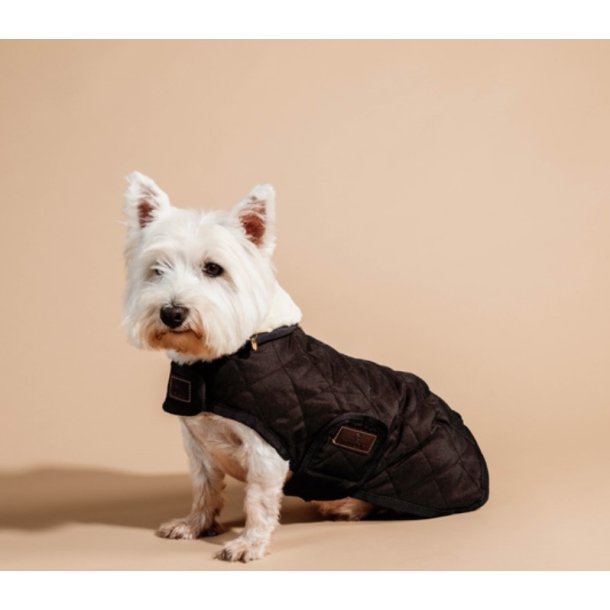 Kentucky Dog Coat original Hunded�kken