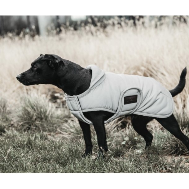 Kentucky Dog coat reflective & water repellent belly cover