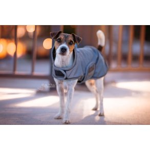 Kentucky Dog Coat Reflective & Water Repellent