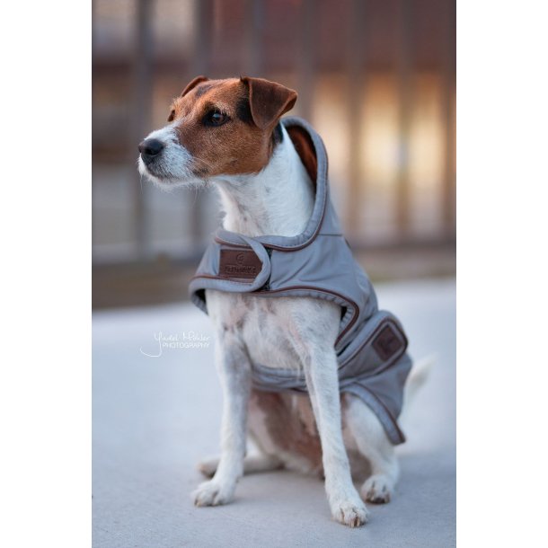 Kentucky Dog Coat Reflective & Water Repellent