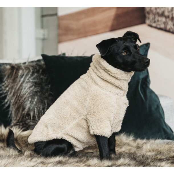 Kentucky Dog Sweater teddy fleece