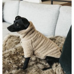 Kentucky Dog Sweater teddy fleece