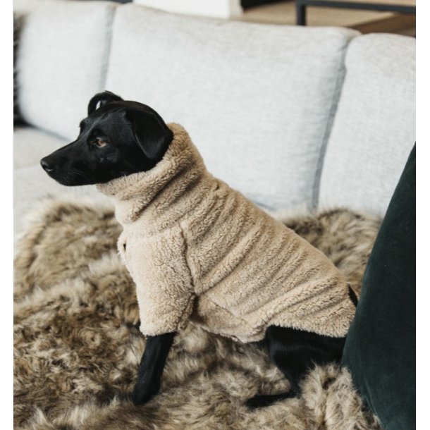 Kentucky Dog Sweater teddy fleece