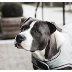 Kentucky Dog Coat waterproof (160gr)