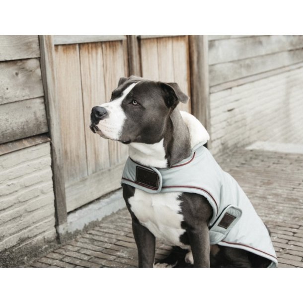 Kentucky Dog Coat waterproof (160gr)