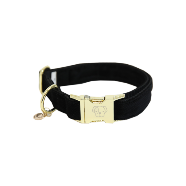 Kentucky Dog Collar Corduroy - hundehalsb�nd babyfl�jl