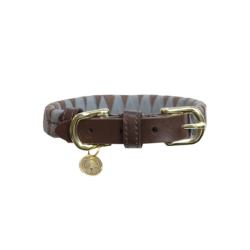 Kentucky Dog Collar Triangle - hundehalsb�nd m trekanter