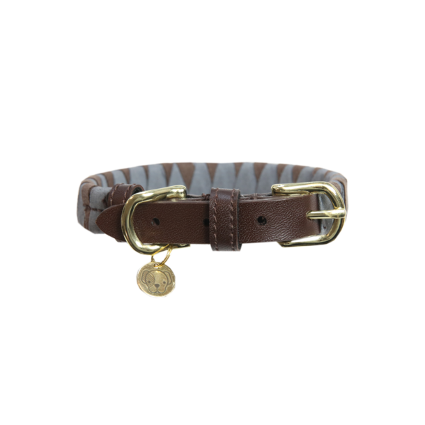 Kentucky Dog Collar Triangle - hundehalsb�nd m trekanter