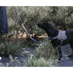 Kentucky dog harness body safe wool hundesele