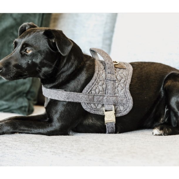 Kentucky dog harness body safe wool hundesele