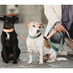 Kentucky Dog collar Jacquard hundehalsb�nd