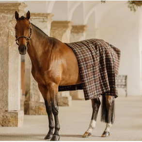 Kentucky Heavy fleece rug square brun tern