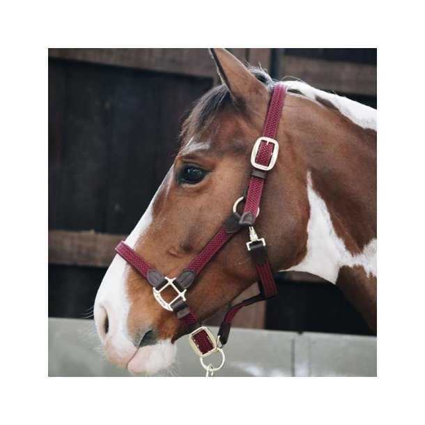 Kentucky Plaited Nylon Grime