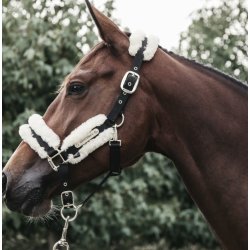 Kentucky Nylon Sheepskin halter