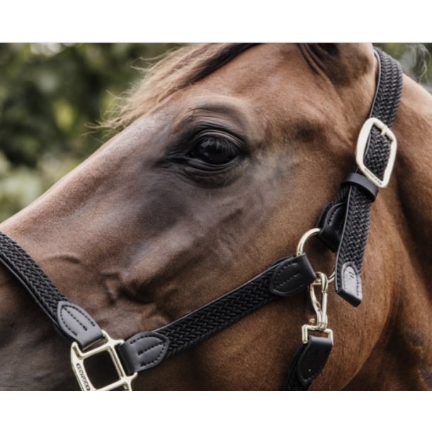 Kentucky Plaited Nylon Grime