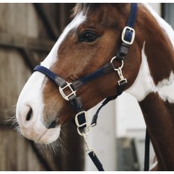 Kentucky Plaited Nylon lead tr�ktorv