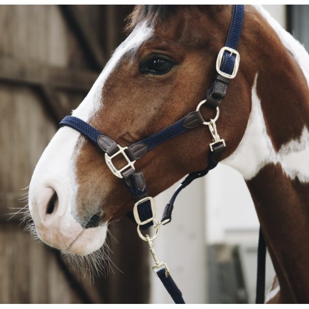 Kentucky Plaited Nylon lead tr�ktorv