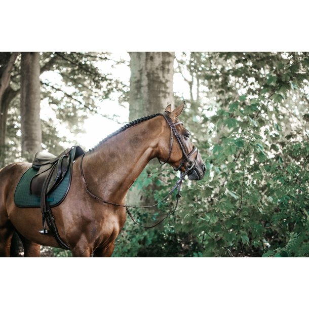 Kentucky saddle pad leather color edition 