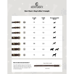 Kentucky Dog Collar Triangle - hundehalsb�nd m trekanter