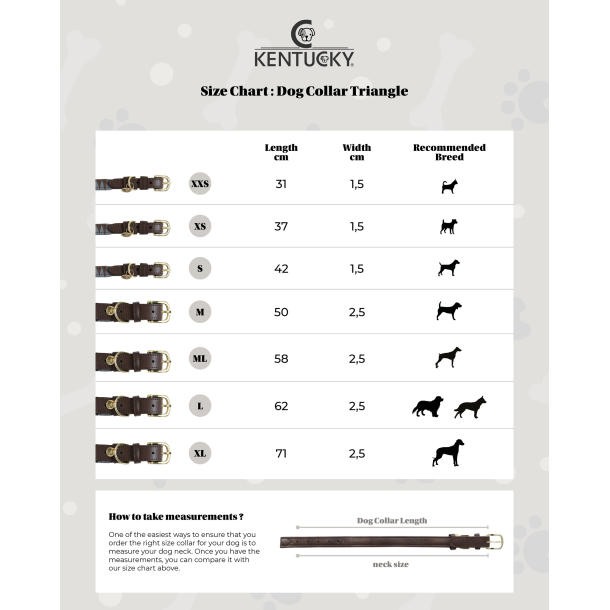 Kentucky Dog Collar Triangle - hundehalsb�nd m trekanter