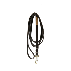 Kentucky Stallion Lead