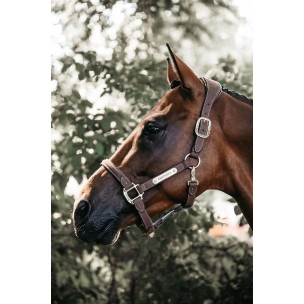 Kentucky Anatomic Suede grime