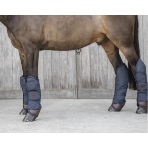 Kentucky Travel Boots